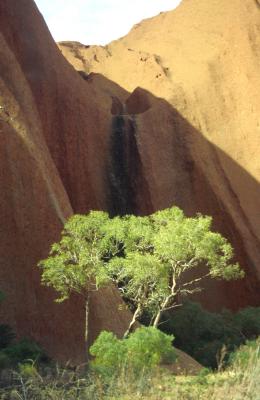 Ayers Rock, NT, Australia, Jacek Piwowarczyk, 1993