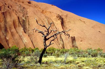 AYERS ROCK, OLGAS AND  KINGS CANYON