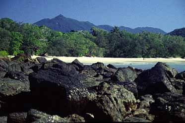Cape Tribulation trip, Northern Queensland, Austalia, Jacek Piwowarczyk, 1993