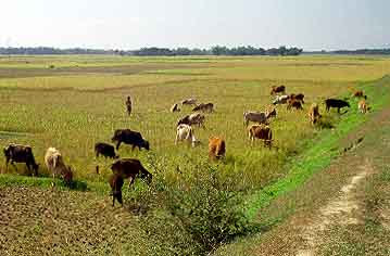 Sylhet, Bangladesh, Jacek Piwowarczyk, 1996