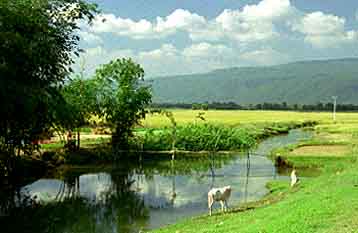 Sylhet, Bangladesh, Jacek Piwowarczyk, 1996