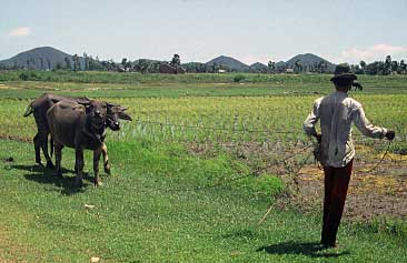 ampong Trach, Kampot Province, Cambodia, Jacek Piwowarczyk, 1993