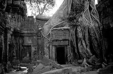 Ta Phrom, Cambodia, Jacek Piwowarczyk, 2000