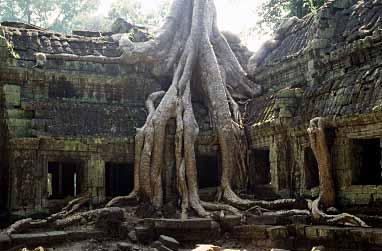Ta Phrom, Cambodia, JAcek Piwowarczyk, 2000