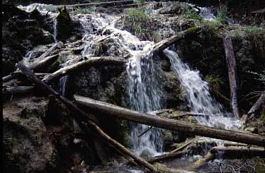 Pear Waterfall, Jiuzgaigo, China, Jacek Piwowarczyk, 1997