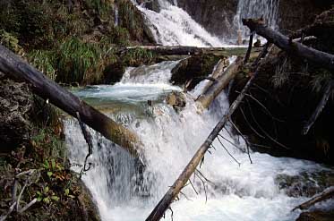 Pear Waterfall, Jiuzgaigo, China, Jacek Piwowarczyk, 1997