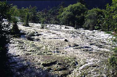 Pear Waterfall, Jiuzgaigo, China, Jacek Piwowarczyk, 1997