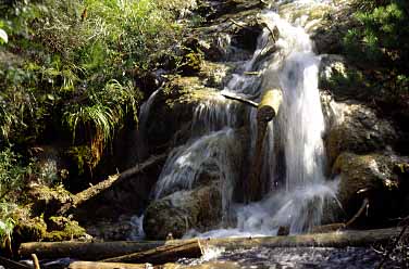 Pear Waterfall, Jiuzgaigo, China, Jacek Piwowarczyk, 1997