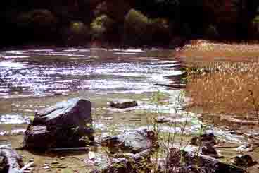 Reed Lake, Jiuzhaigo, China, Jacek Piwowarczyk, 1998