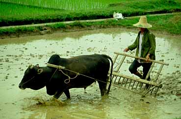 Yangshuo, China, Jacek Piwowarczyk 1997