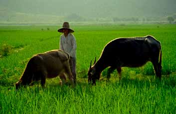 Yangshuo, China, Jacek Piwowarczyk 1997