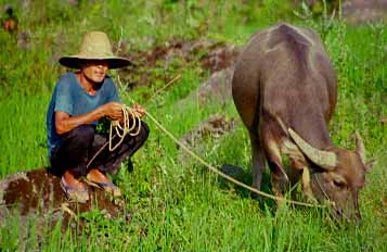 Yangshuo, China, Jacek Piwowarczyk 1997