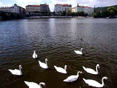 Along Vltava River, Prague, Czech Republic, Jacek Piwowarczyk, 2008