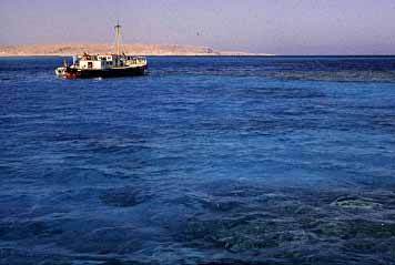 Hurghada, Egypt. Jacek Piwowarczyk, 1989
