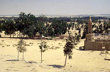 Wadi Natrun, Egypt, Jacek Piwowarczyk, 1997