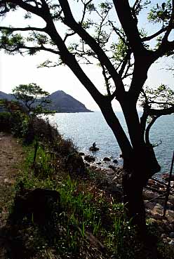 Lantau Island, Hong Kong, China, Jacek Piwowarczyk, 2003