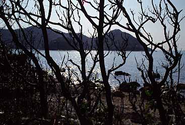 Lantau Island, Hong Kong, China, Jacek Piwowarczyk, 2003