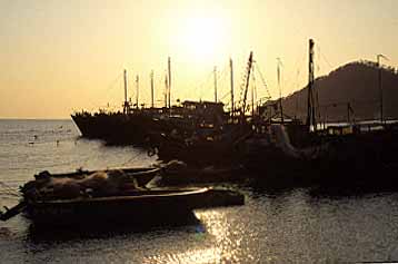 Tai O, Lantau Island, Hong Kong, China, Jacek Piwowarczyk, 2003