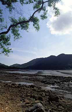 Fan Lau Trail, Lantau Island, Hong Kong, China, Jacek Piwowarczyk, 2003