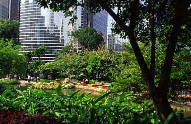 Hong Kong, China, Jacek Piiwowarczyk, 2003