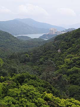 Tai Tam Country Park, Hong Kong Island, Hong Kong, China, Jacek Piwowarczyk, 2004