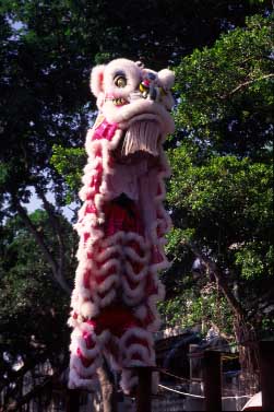 Cheung Chau Island, Hong Kong, China, Jacek Piwowarczyk 2004