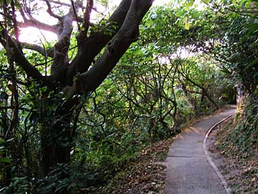 Cheung Chau Island, Hong Kong, China, Jacek Piwowarczyk, 2004