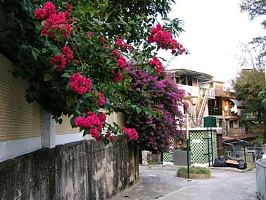 Cheung Chau Island, Hong Kong, China, Jacek Piwowarczyk, 2004