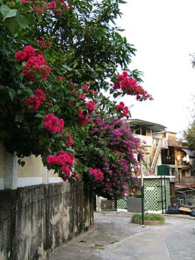 Cheung Chau Island, Hong Kong, China, Jacek Piwowarczyk, 2004