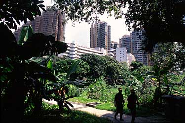 Park Island, Hong Kong, China, Jacek Piwowarczyk 2004