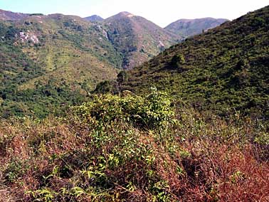 Lantau Island, Hong Kong, China, Jacek Piwowarczyk 2004