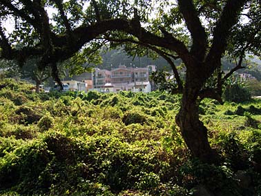 Lantau Island, Hong Kong, China, Jacek Piwowarczyk 2004