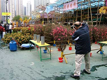 Victoria Park, Hong Kong, China, Jacek Piwowarczyk 2005