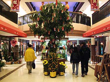 Sheung Wan, Hong Kong, China, Jacek Piwowarczyk, 2005