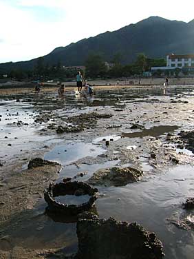 Mui Wo, Lantau, Hong Kong, China, Jacek Piwowarczyk 2005