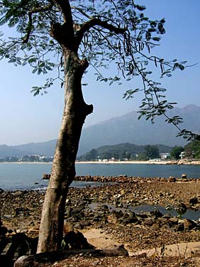 Mui Wo, Lantau island, Hong Kong, China, Jacek Piwowarczyk, 2006