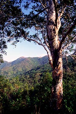 Lantau Island, Hong Kong, China, Jacek Piwowarczyk, 2006