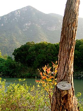 Tai O, Lantau Island, Hong Kong, China, Jacek Piwowarczyk, 2006