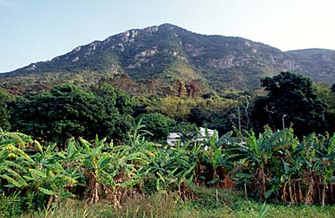 Tai O, Lantau Island, Hong Kong, China, Jacek Piwowarczyk, 2006