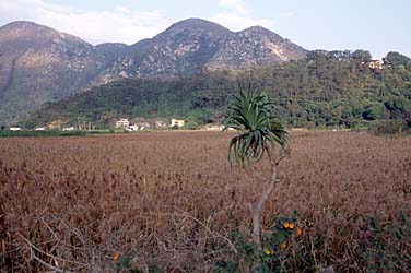 Tai O, Lantau Island, Hong Kong, China, Jacek Piwowarczyk, 2006