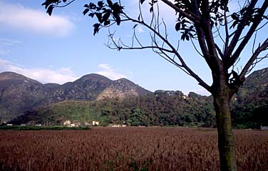 Tai O, Lantau Island, Hong Kong, China, Jacek Piwowarczyk, 2006