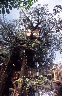 Hong Kong Disneyland Resort, Lantau Island, Hong Kong, China, Jacek Piwowarczyk, 2006