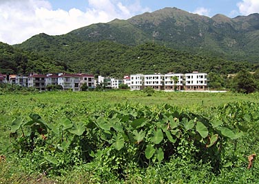 Mui Wo, Lantau Island, Hong Kong, China, Jacek Piwowarczyk, 2006