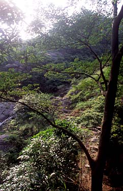 South Lantau Trail, Lantau Island, Hong Kong, China, Jacek Piwowarczyk 2006