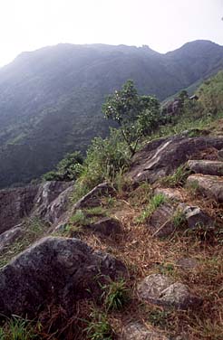 South Lantau Trail, Lantau Island, Hong Kong, China, Jacek Piwowarczyk 2006