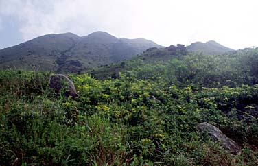 Lantau Trail Stage 2, Lantau Island, Hong Kong China, Jacek Piwowarczyk, 2006