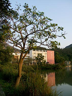Tai O, Lantau Island, Hong Kong, China, Jacek Piwowarczyk, 2006