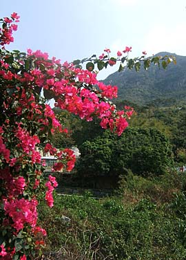 Tai O, Lantau Island, Hong Kong, China, Jacek Piwowarczyk, 2007