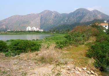 Tai O, Lantau Island, Hong Kong, China, Jacek Piwowarczyk, 2007