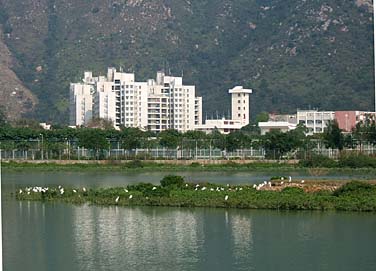 Tai O, Lantau Island, Hong Kong, China, Jacek Piwowarczyk, 2007